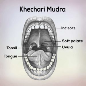 Khechari Mudra