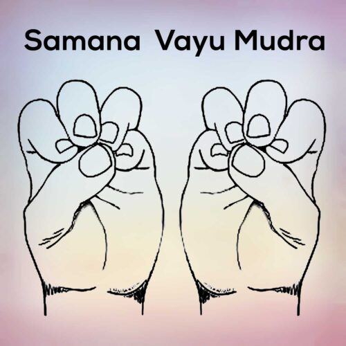 Samana Vayu Mudra, also known as Mukul or Sukri Mudra, balances five body elements and three cosmic energies.