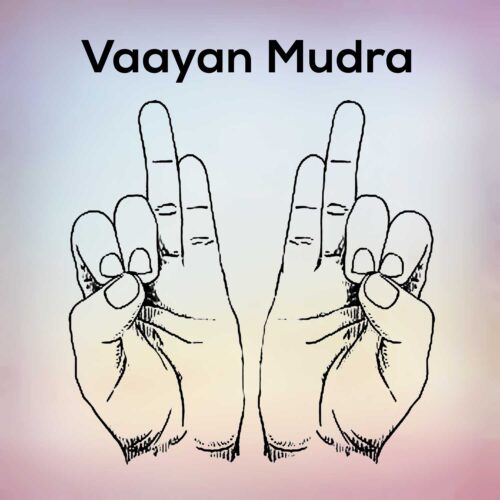 Vaayan Mudra