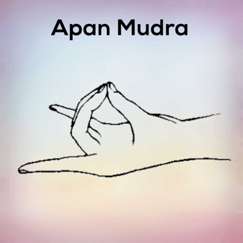 Apan Mudra