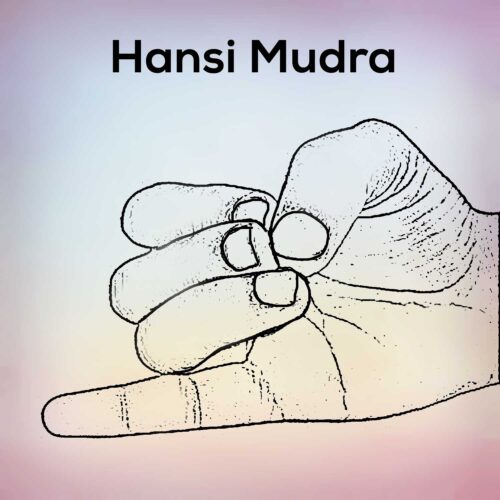 Hansi mudra