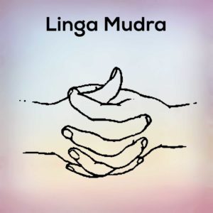 Linga Mudra