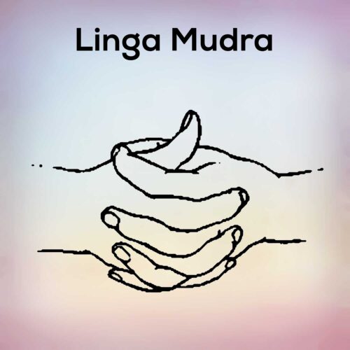 Linga Mudra