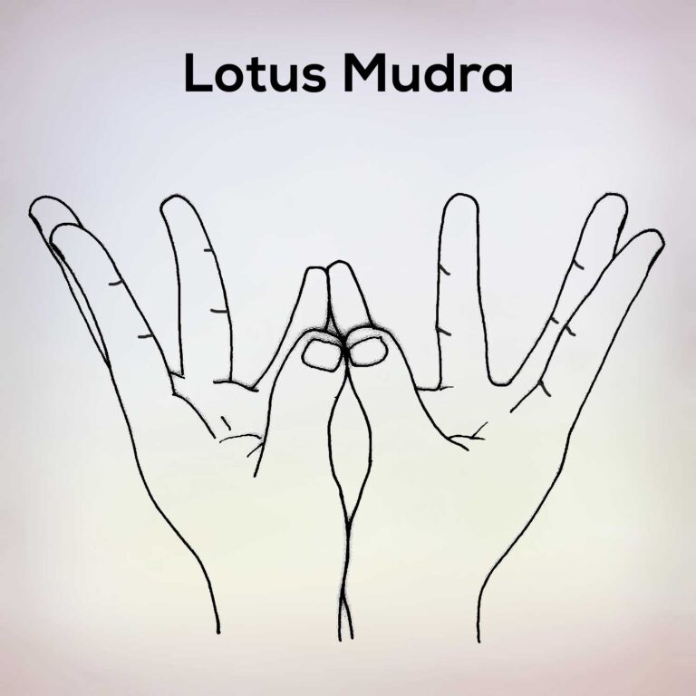 lotus-mudra-768x768.jpg