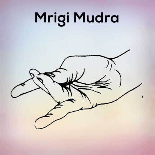 Mrigi Mudra