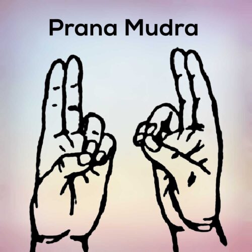 Prana Mudra: The Ultimate Hand Gesture for Health & Vitality