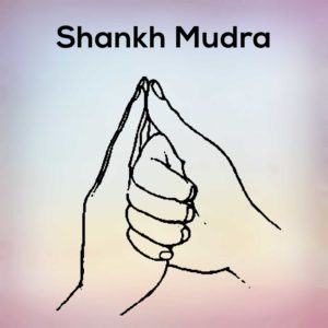 Shankh Mudra
