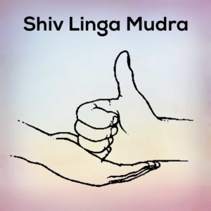 Shiva linga mudra