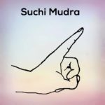 Suchi Mudra Learn its steps pose, and benefits - nexoye