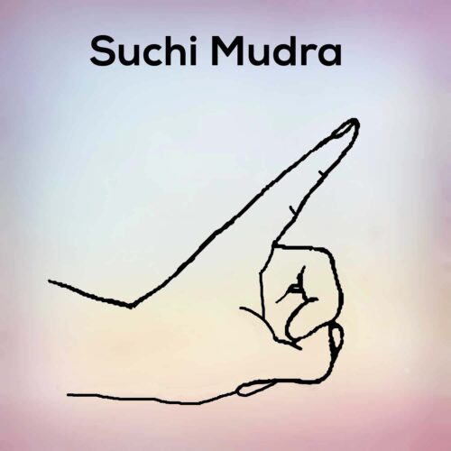 Suchi Mudra