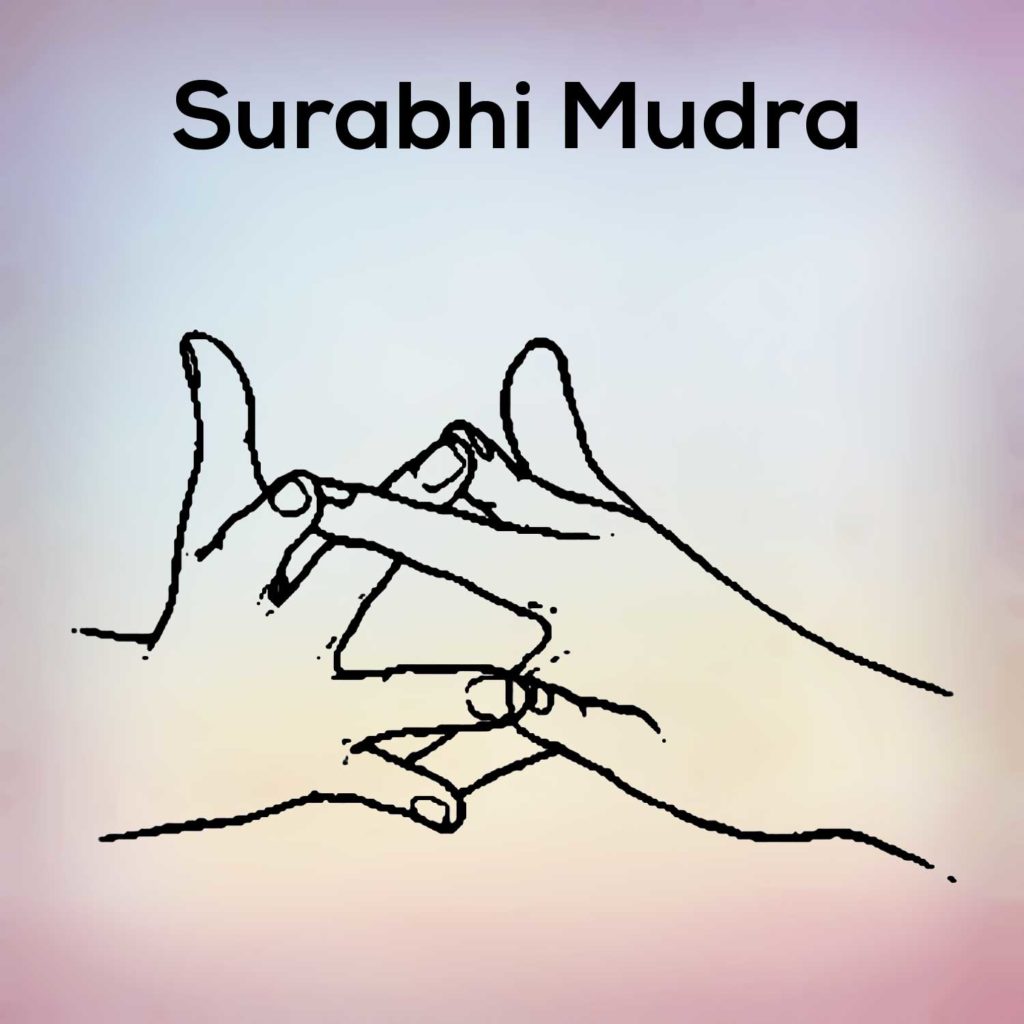 Surabhi mudra