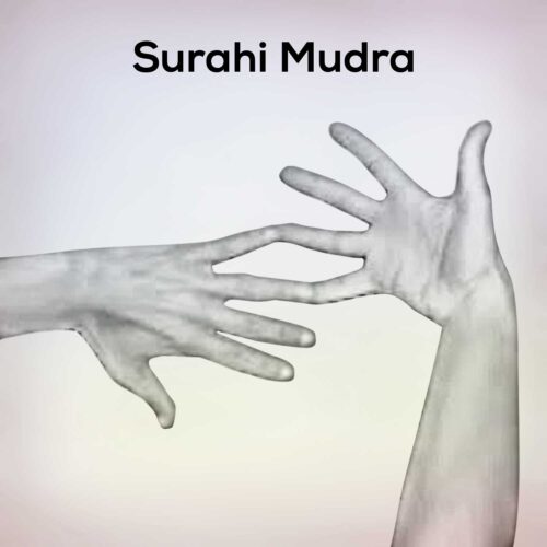 Surahi mudra