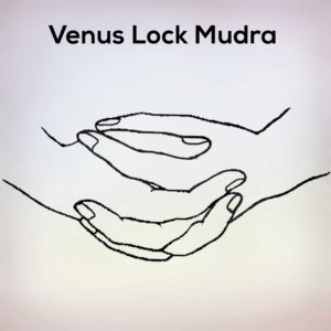 Venus lock mudra