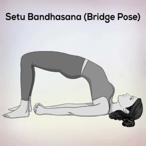 Bridge Pose Setu Bandhasana