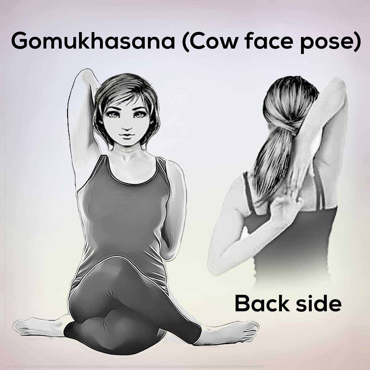 150+ Cow Face Pose Illustrations, Royalty-Free Vector Graphics & Clip Art -  iStock | One-legged king pigeon pose, Gomukhasana, Back stretch