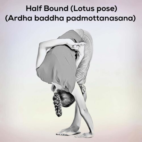 Ardha baddha padmottanasana