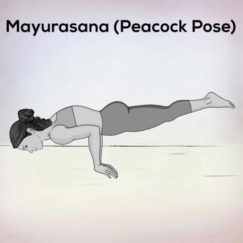 Mayurasana