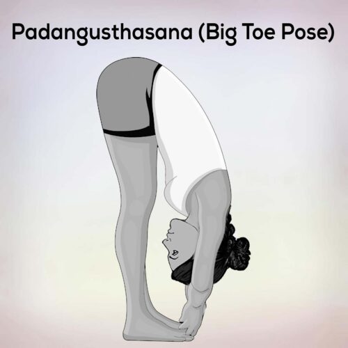 Padangusthasana