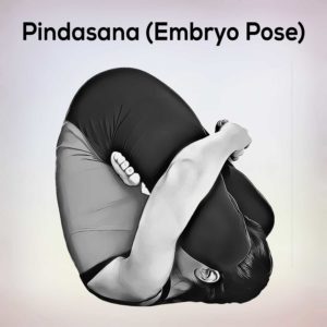 Pindasana-embryo-pose