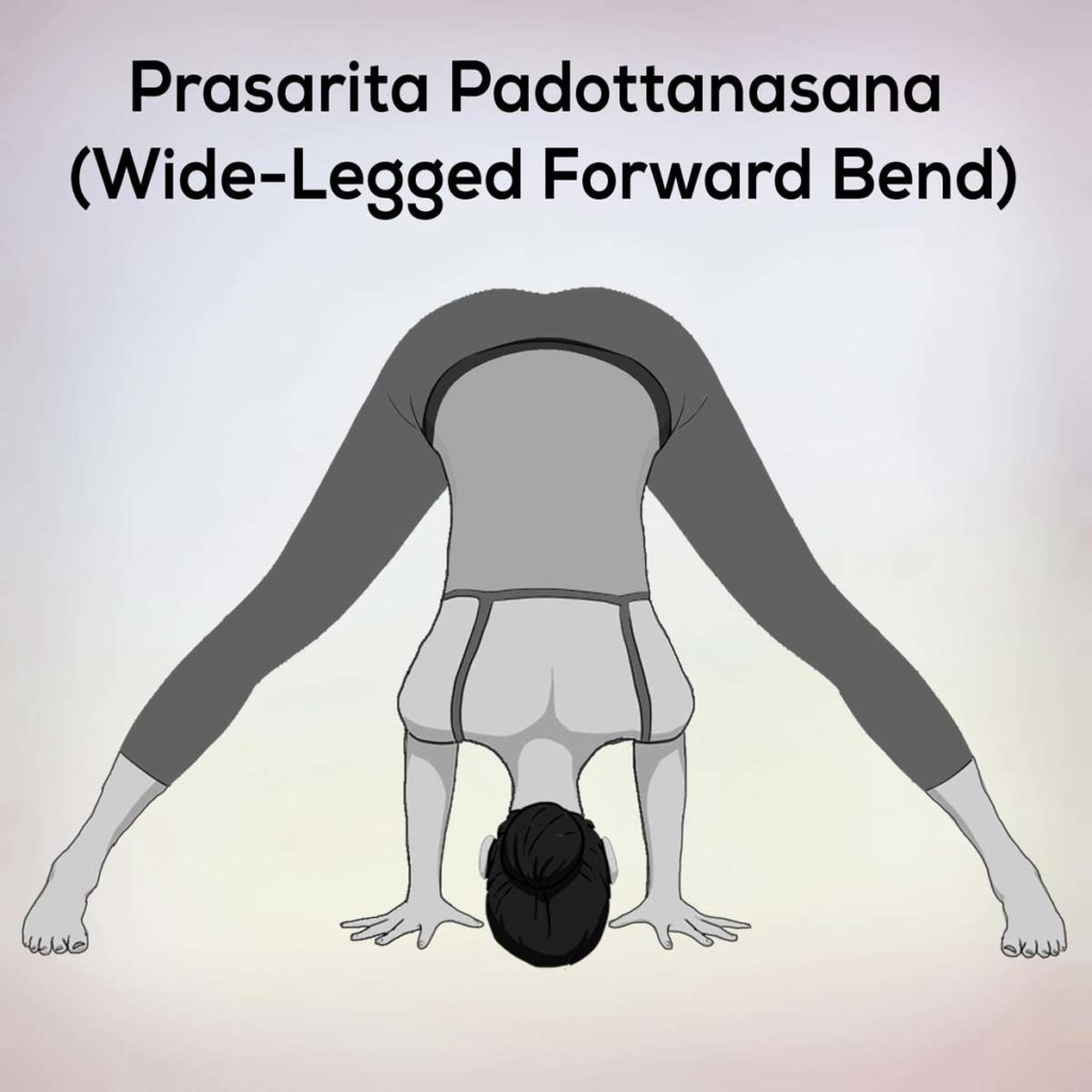 Prasarita Padottanasana steps benefits precautions - nexoye