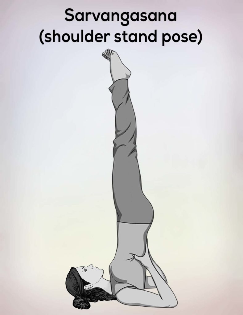 Sarvangasana-shoulder-stand-pose