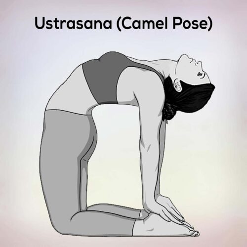 Ustrasana