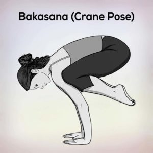 Bakasana-Crane-Pose