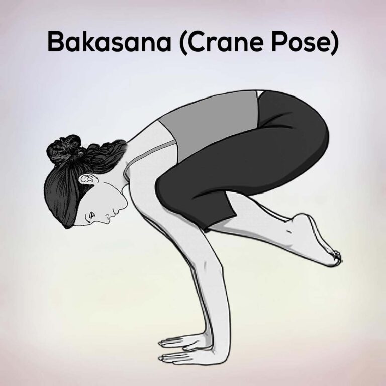 Bakasana Crane Pose Steps Benefits Precautions - nexoye