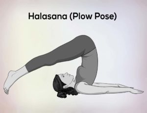 halasana-plough-pose