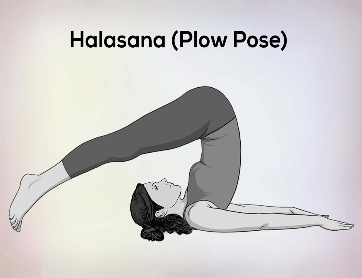 Unlock the Power of Plow Pose: Reap the Benefits of This Transformative Yoga  Asana | by Abhishek Pokhriyal | Medium