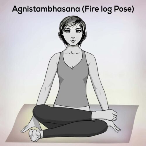 Fire log Pose