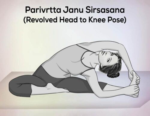 Parivrtta Janu Sirsasana