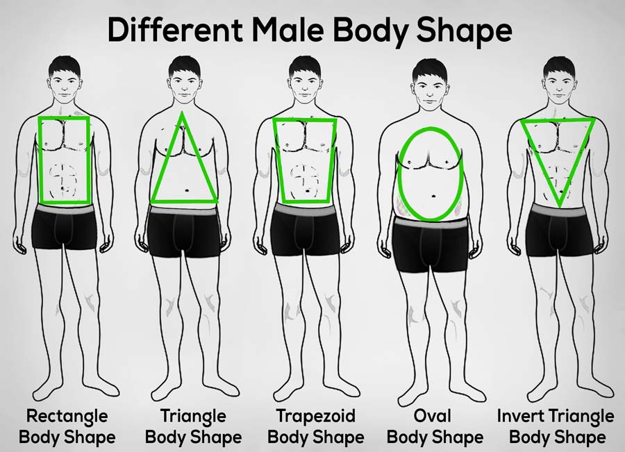 Verbesserung Bitte Bewundernswert male body shapes ausrichten