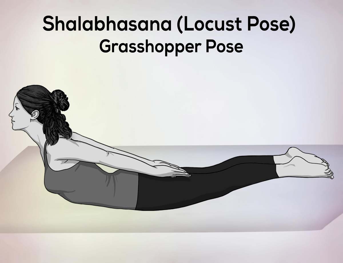 How to: Poorna Salabhasana (Full Locust Pose) - YouTube