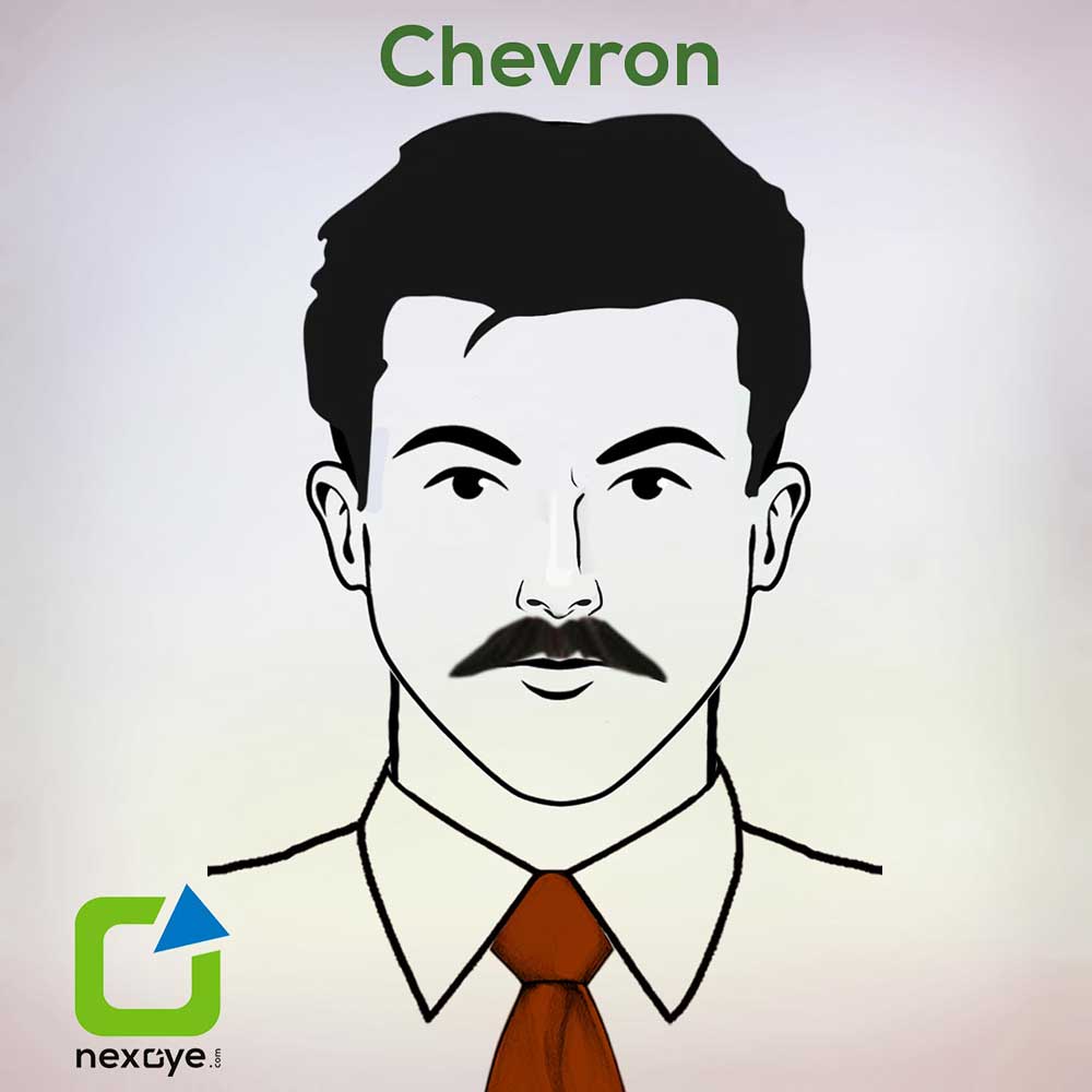 Chevron-Beard