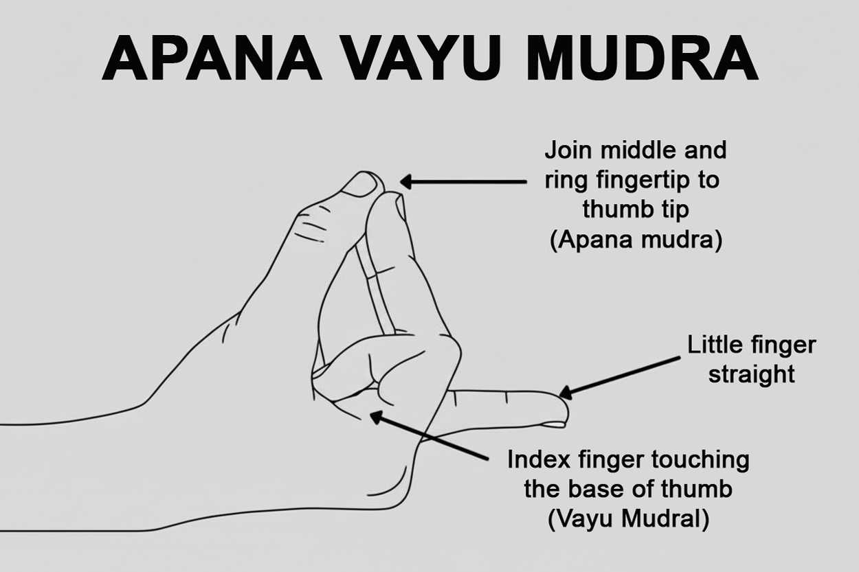 Perform Apana Vayu Mudra