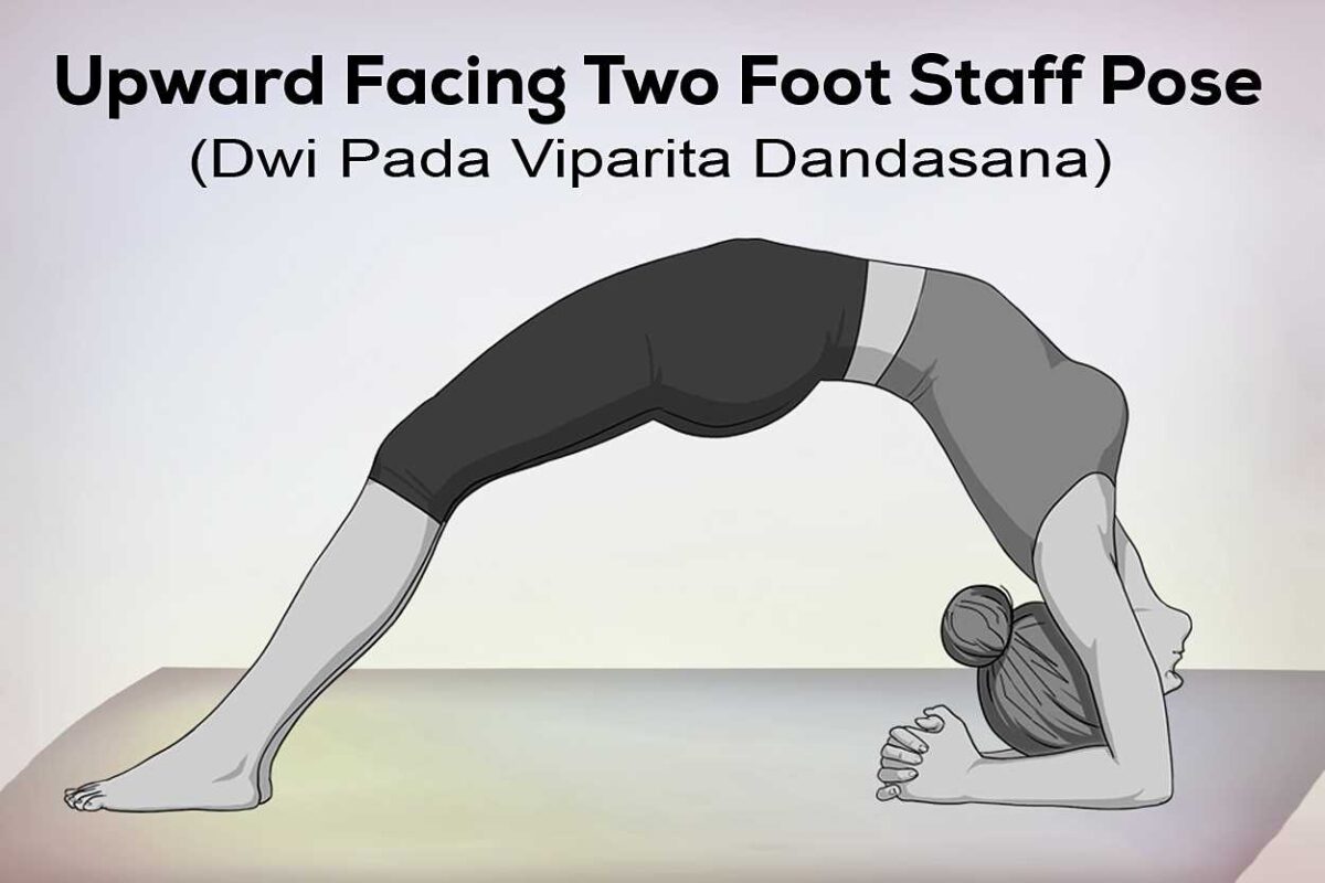 Upward Facing Two Foot Staff Yoga Pose demonstrating an advanced backbend with forearm support and lifted chest.