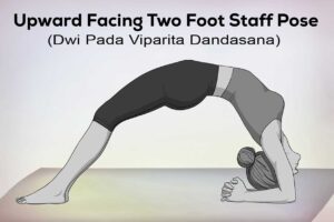 Upward Facing Two Foot Staff Yoga Pose demonstrating an advanced backbend with forearm support and lifted chest.